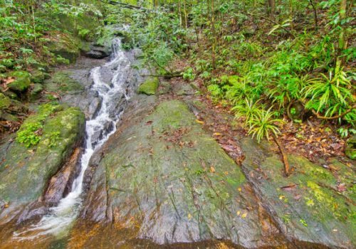 Waterfall, Sinharaja National Park Rain Forest, World Heritage Site, UNESCO, Biosphere Reserve, National Wilderness Area, Sri Lanka, Asia